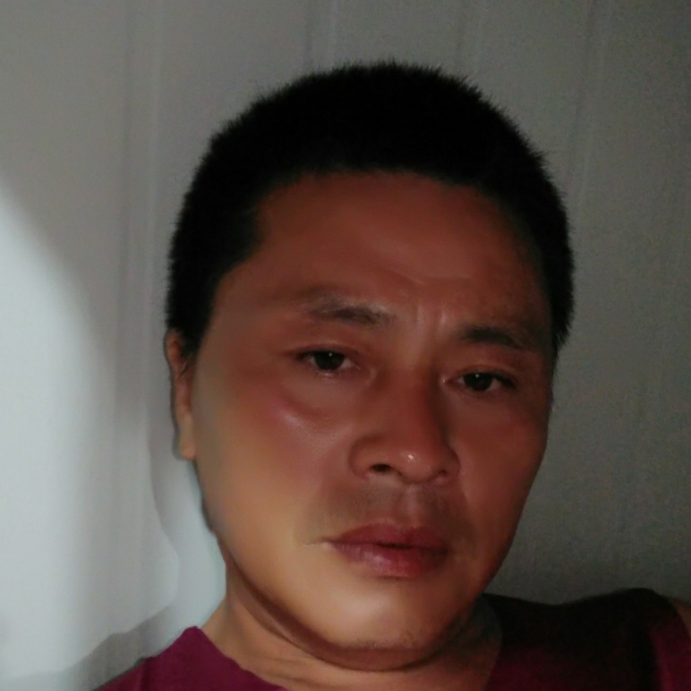 文艺有便当的照片