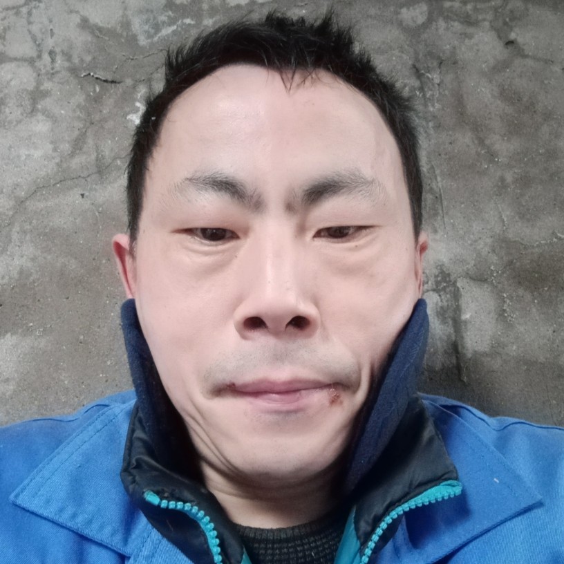 懦弱与孤心的照片