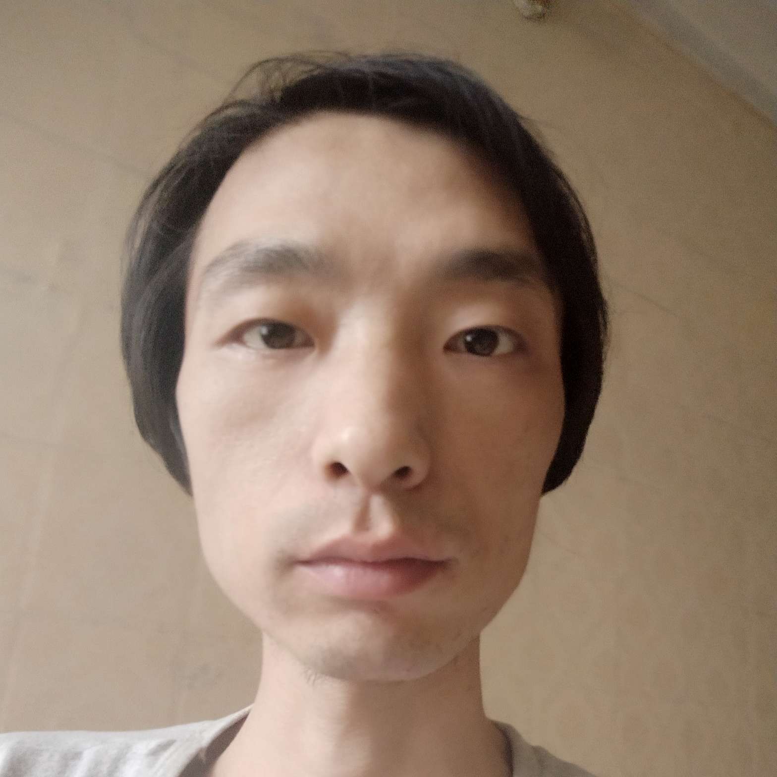 橙子的照片