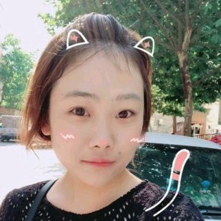 无奈纸鹤的照片
