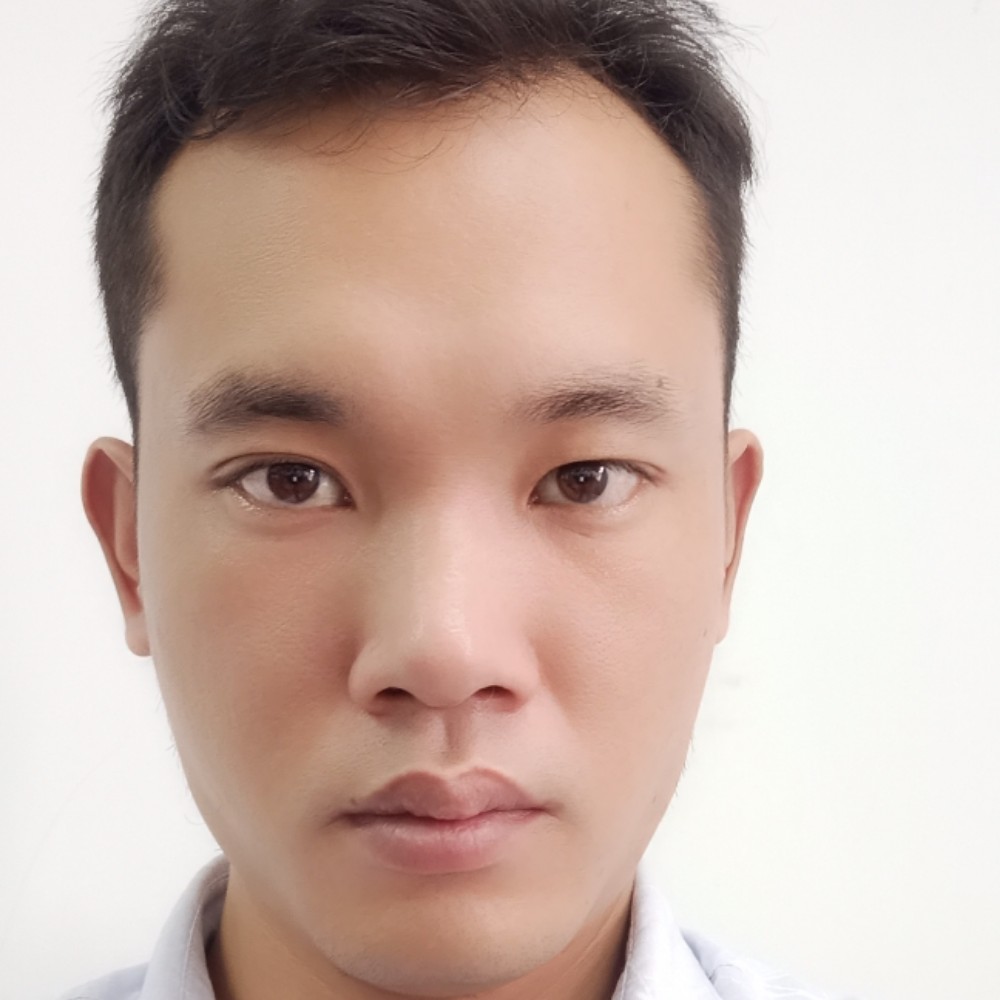 小海豚演变整齐的照片