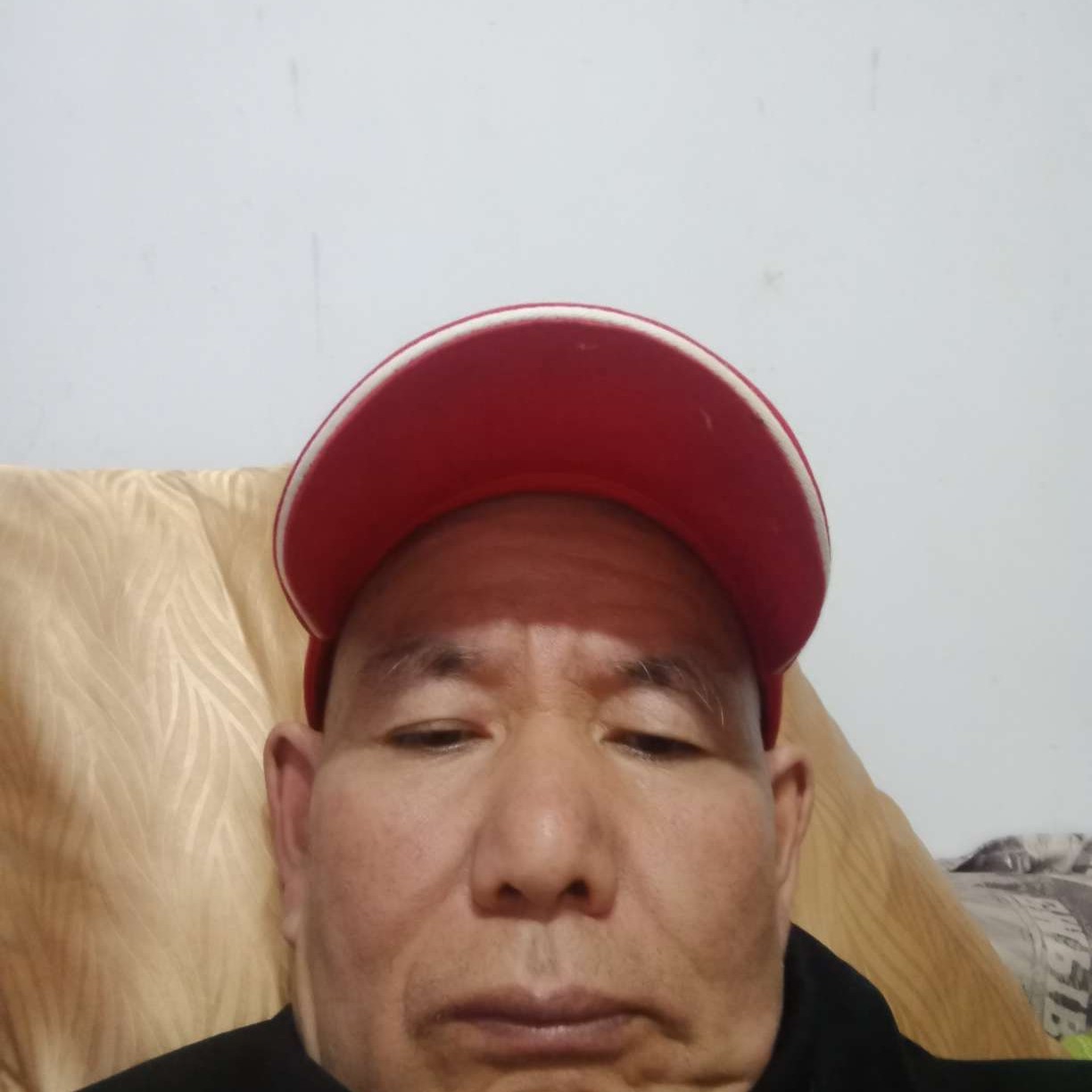 迷路和秋月的照片