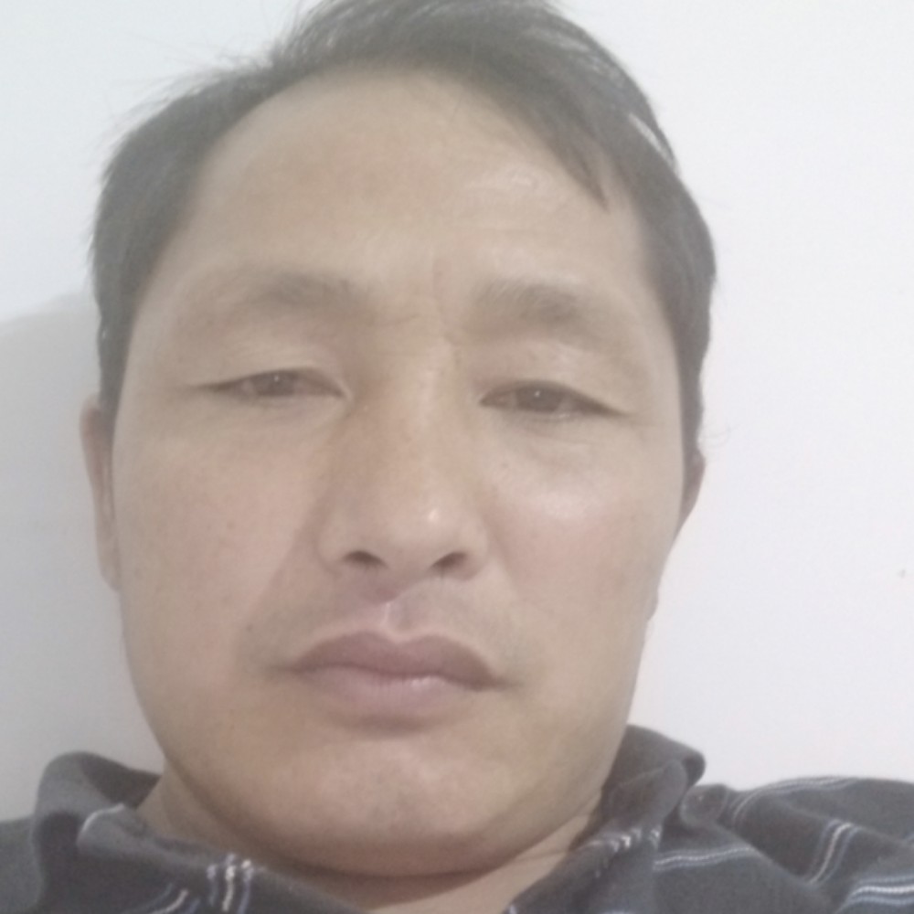 釆花大盗的照片