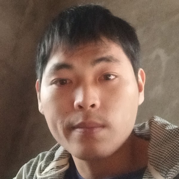 龙猫挽手聪慧的照片