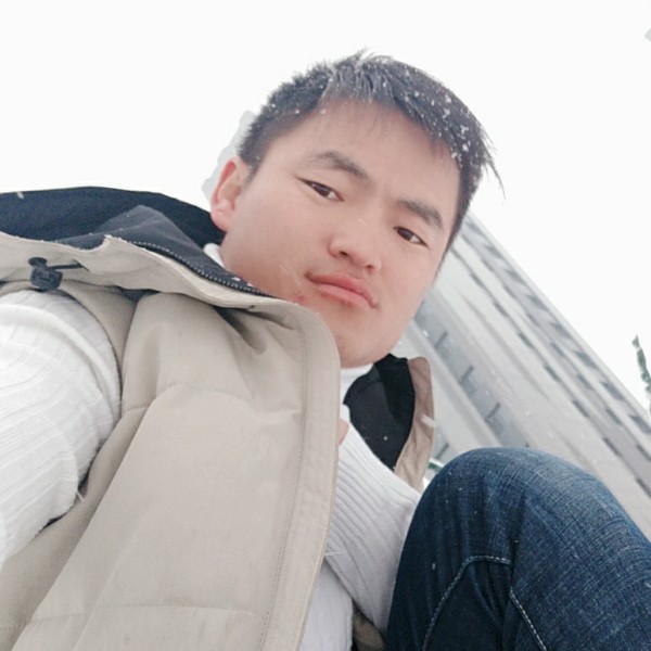 愉快向野狼的照片