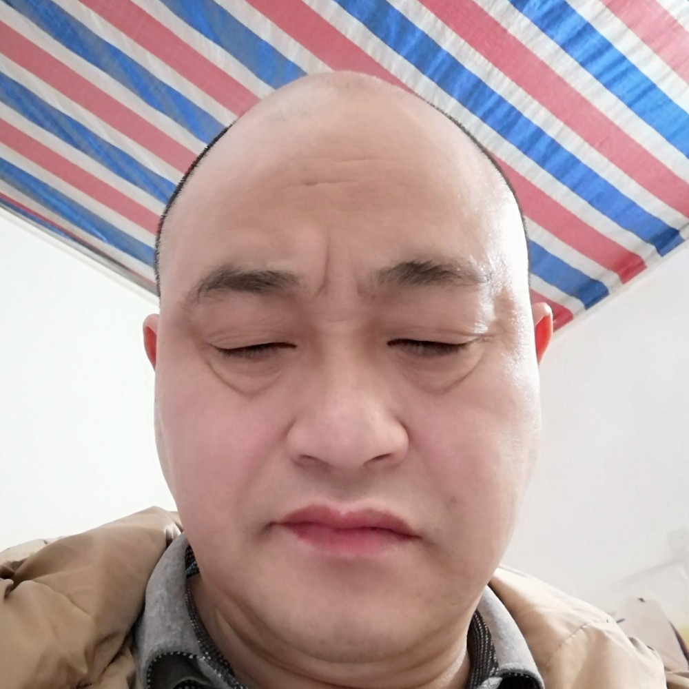 单纯有龙猫的照片