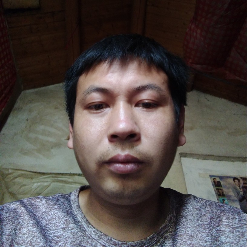 害怕有小海豚的照片