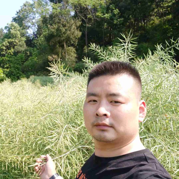 路人回首独特的照片