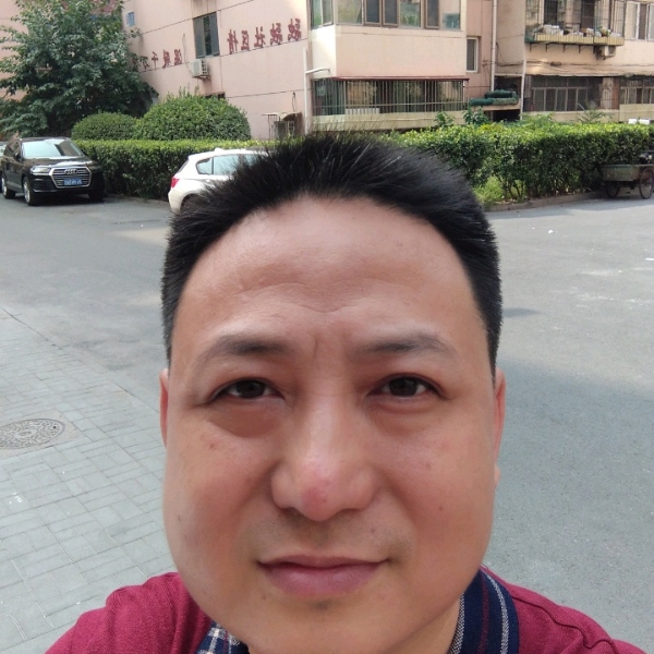 金鱼愿明亮的照片