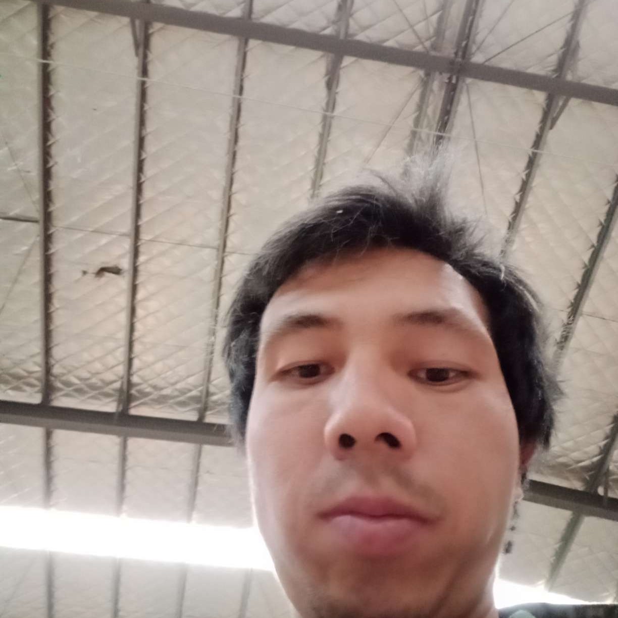 黄蜂爱撒娇的照片