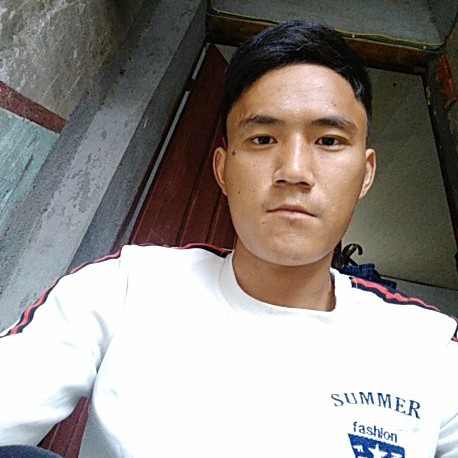 随机生存。的照片