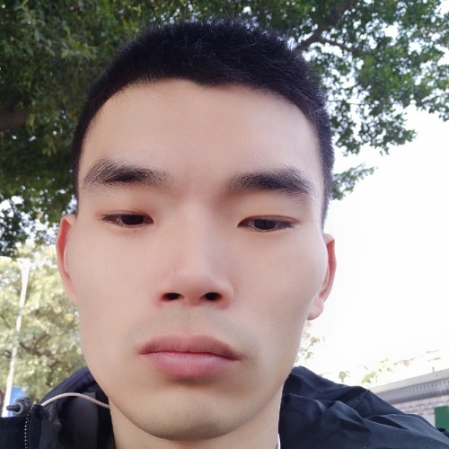 自由的飞翔123的照片