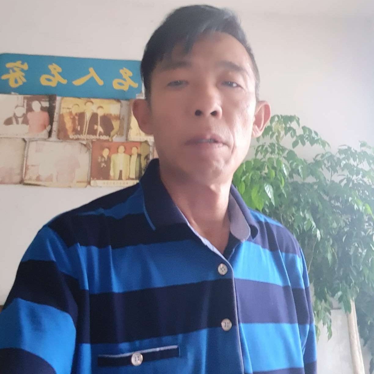 大象约定的照片
