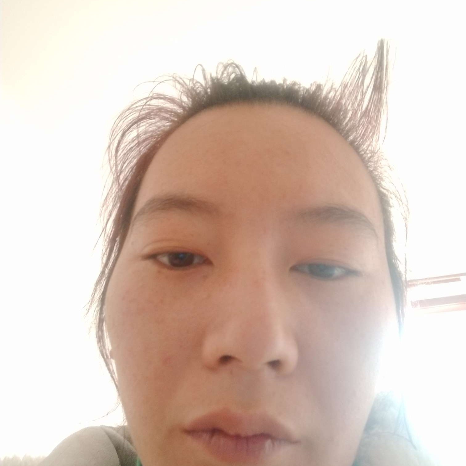 小梅花晶晶的照片