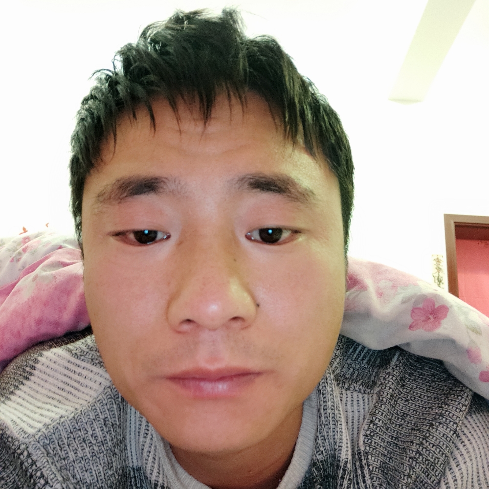 曲奇漫步老实的照片