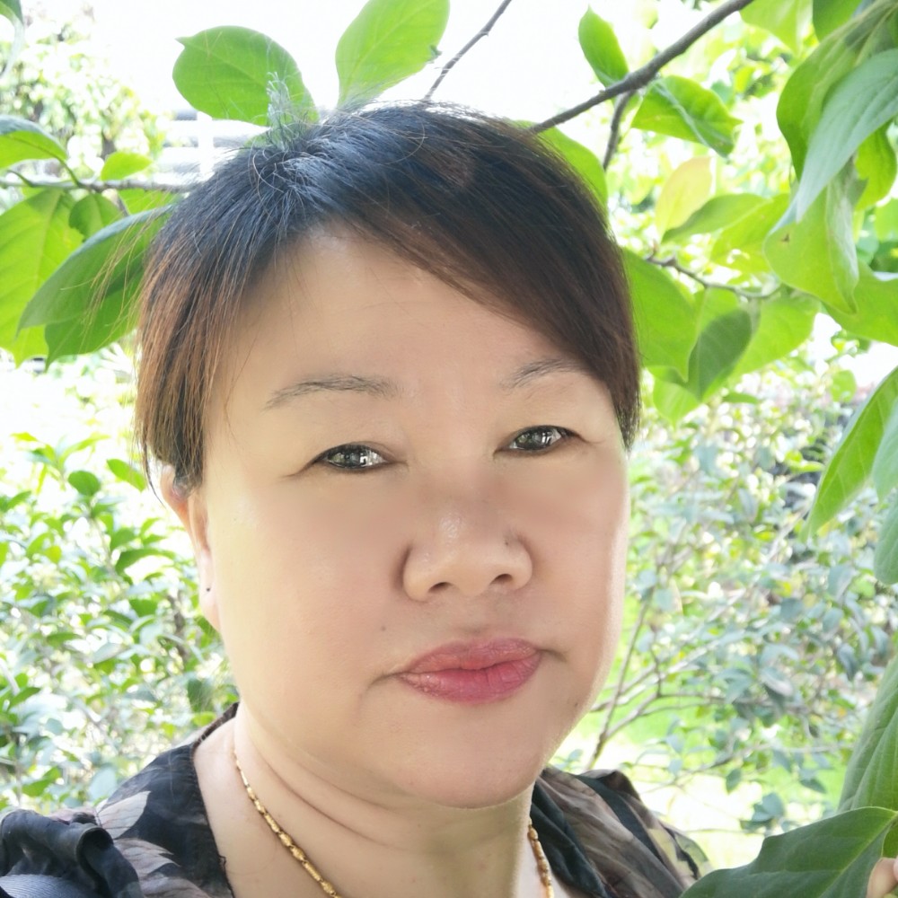 温柔的鸽子的照片