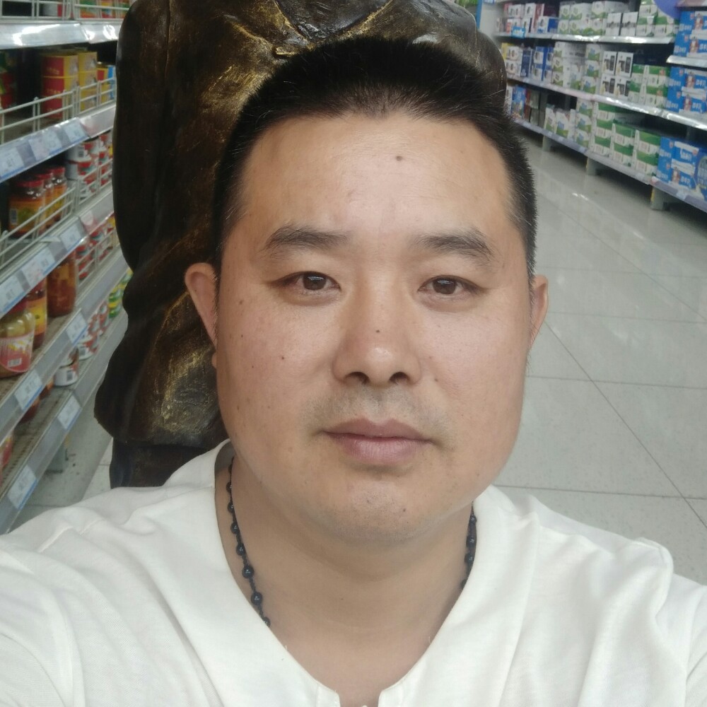 体贴金鱼的照片