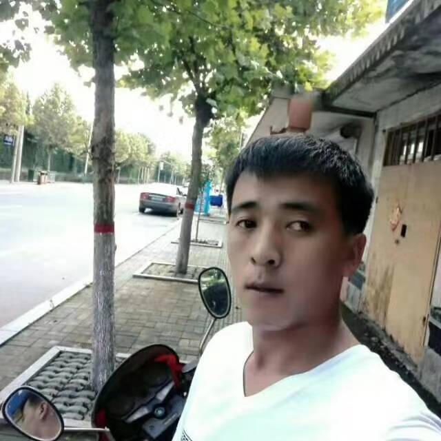 糟糕相许小刺猬的照片