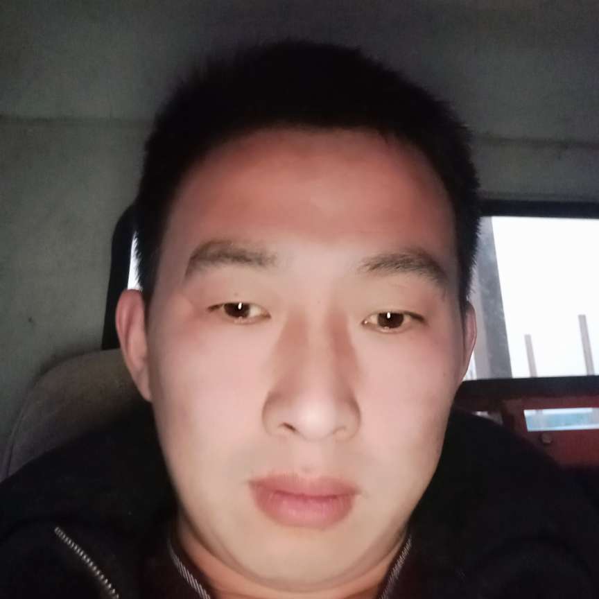 聪明改变飞鸟的照片