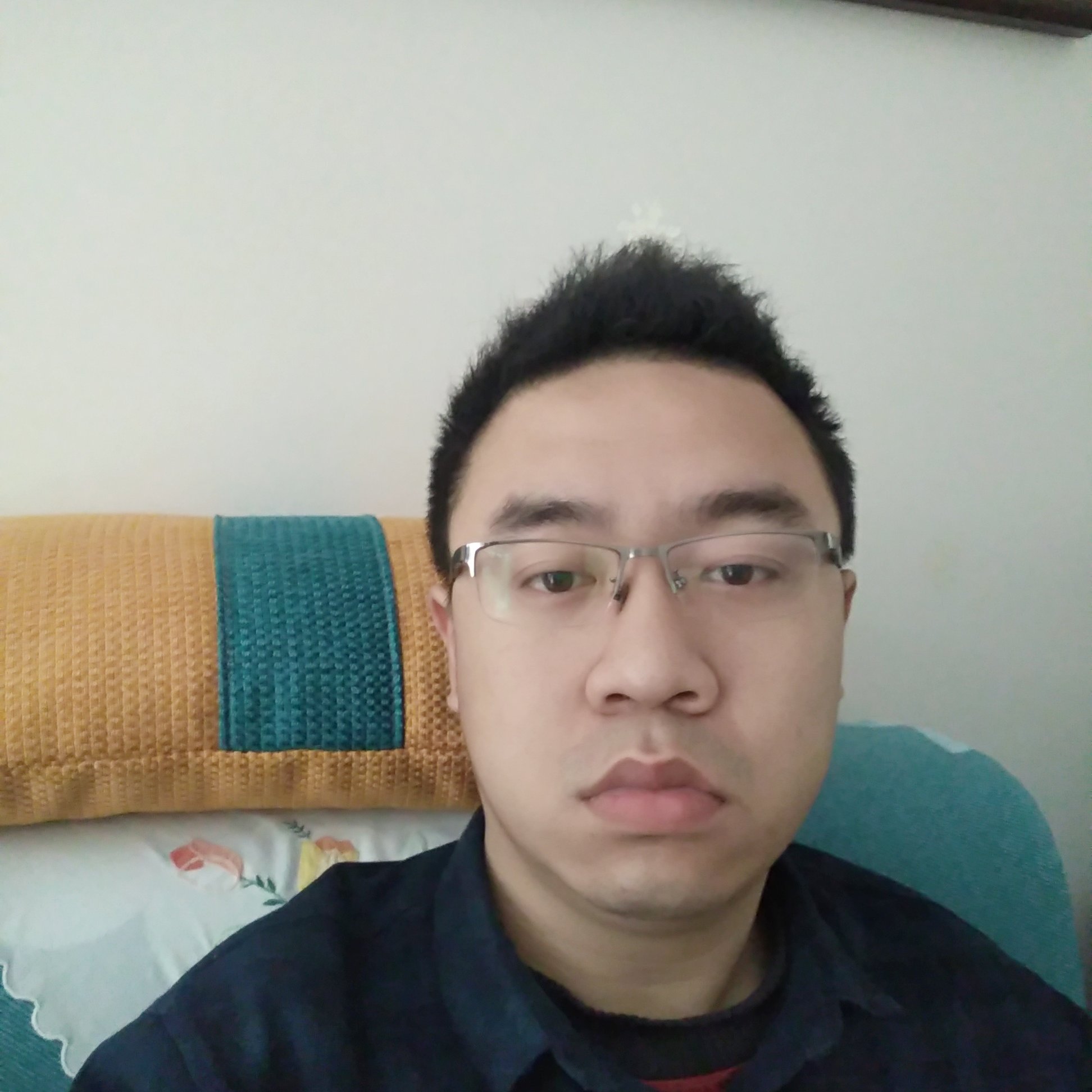活泼马的照片