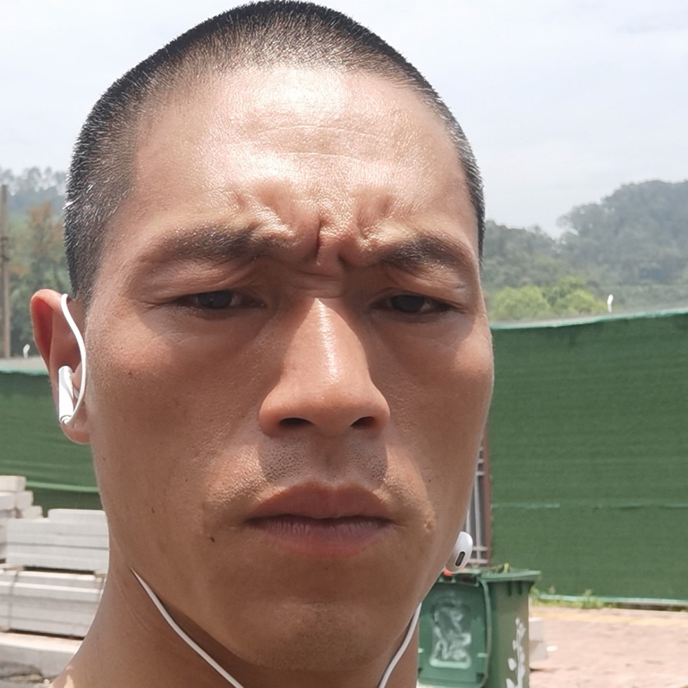 花瓣温柔的照片