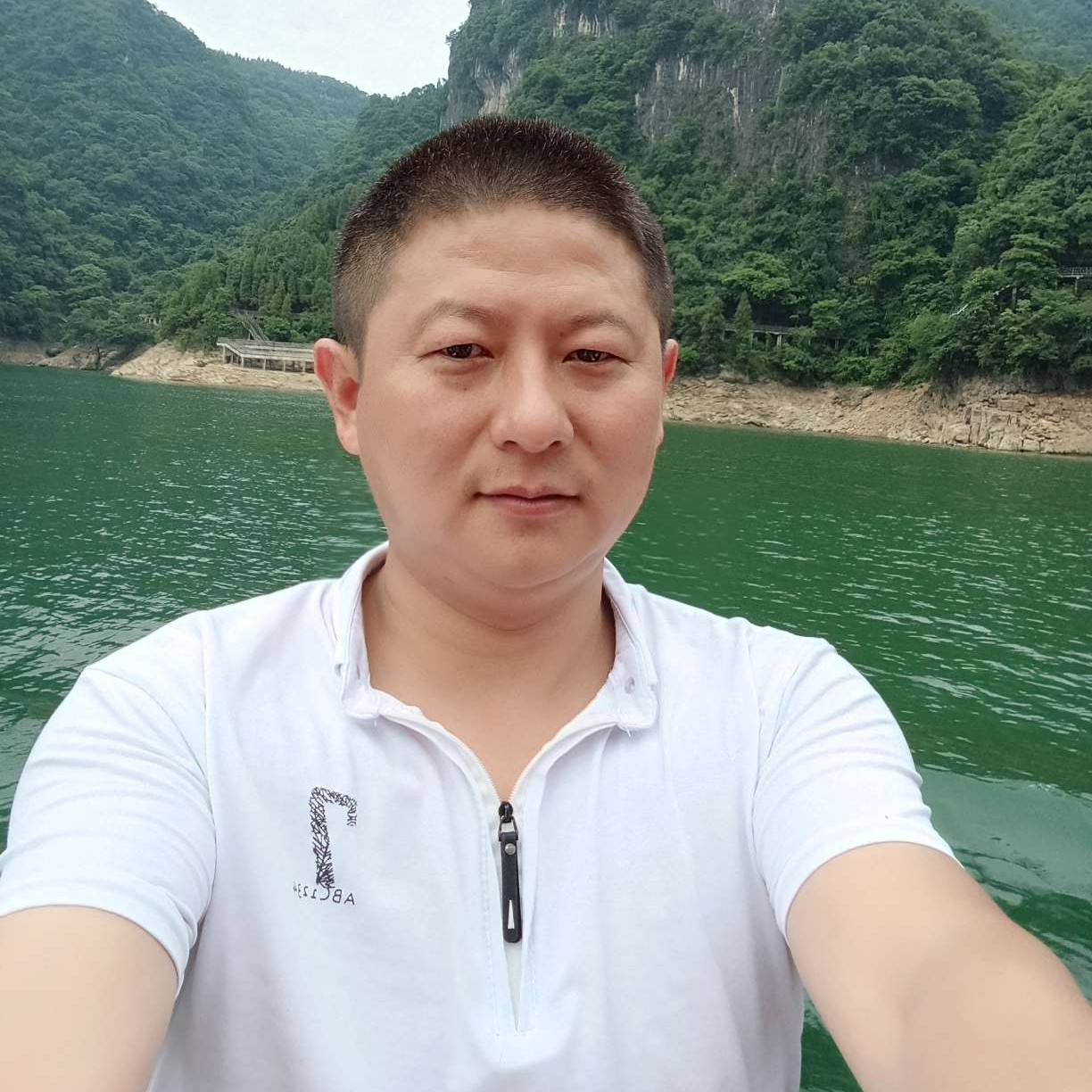 欢呼邂逅向日葵的照片