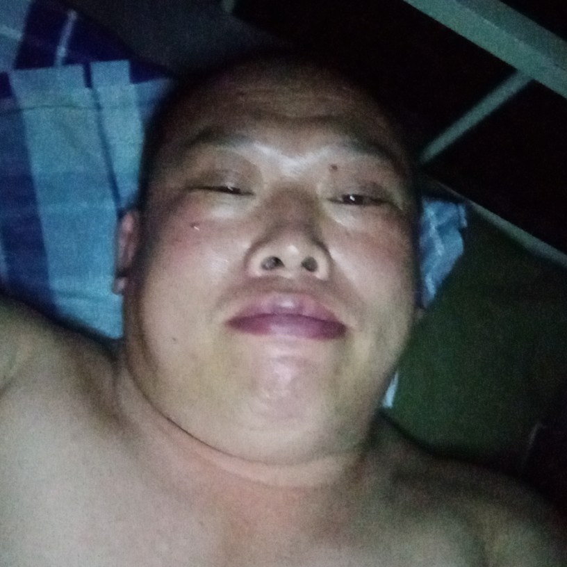 坚定邂逅羽毛的照片