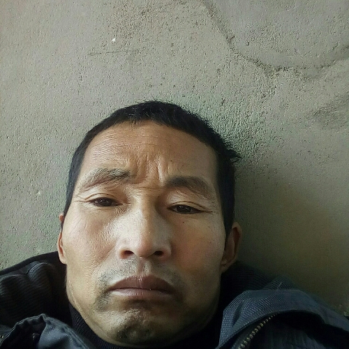 真没人心的照片