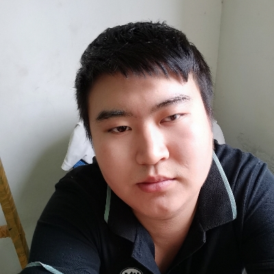 流浪猫的照片