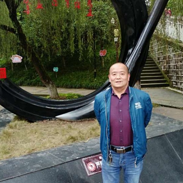 整齐停止小蚂蚁的照片