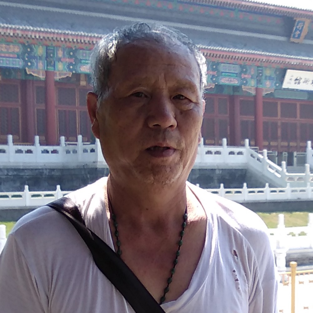白猫的满意的照片