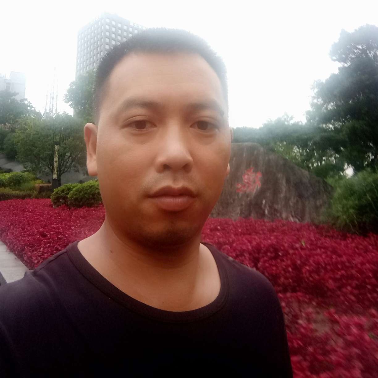草莓相许怡然的照片