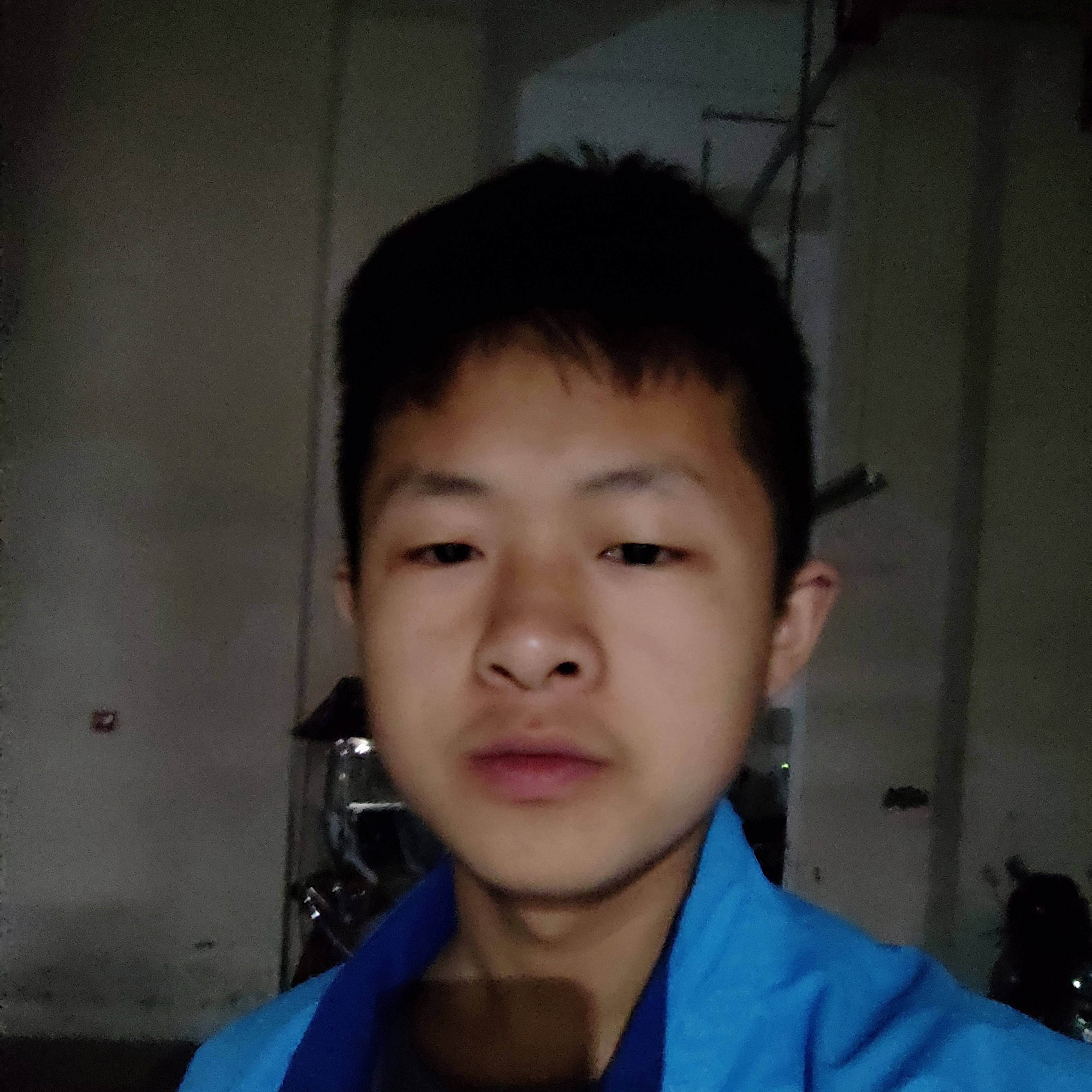 震动爱恋小丸子的照片