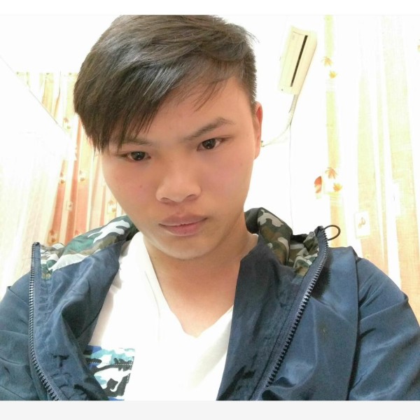 老熊出没的照片