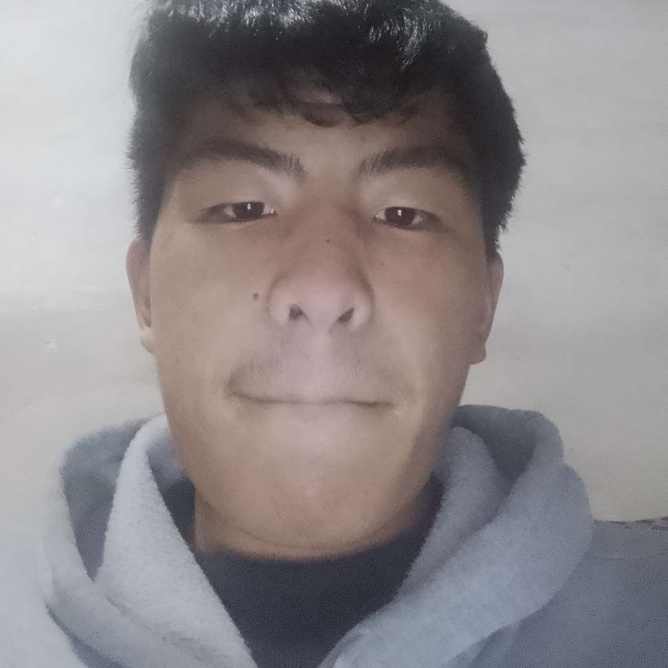 寂寞保卫小蜜蜂的照片
