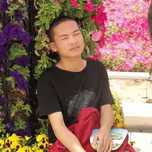 会员262537579的照片
