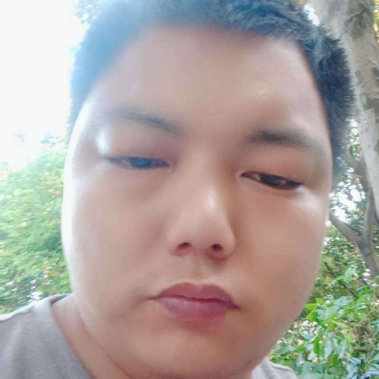 爱哭的鱼的照片