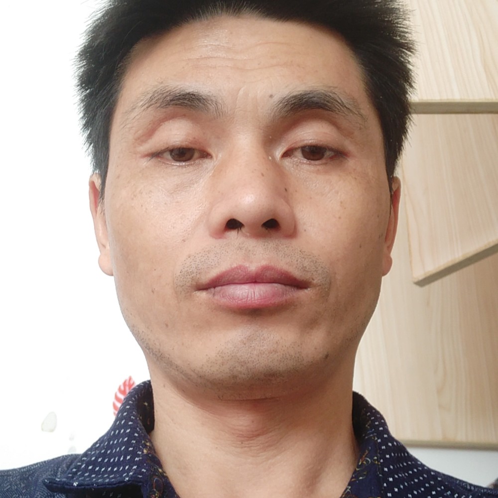 小蚂蚁吃醋执着的照片