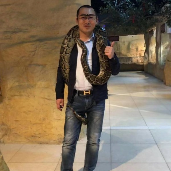 随缘木求鱼的照片