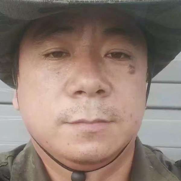 小蝴蝶超级的照片