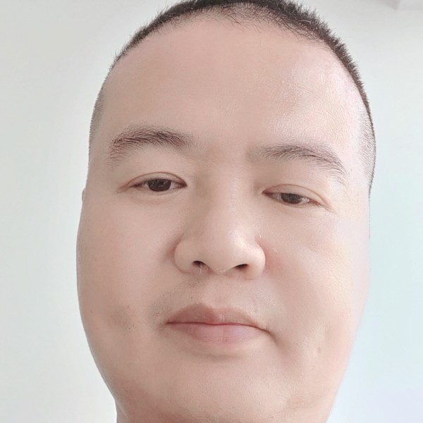 飞蚊的照片