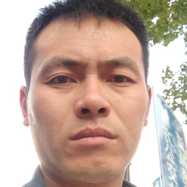 八宝粥流年的照片