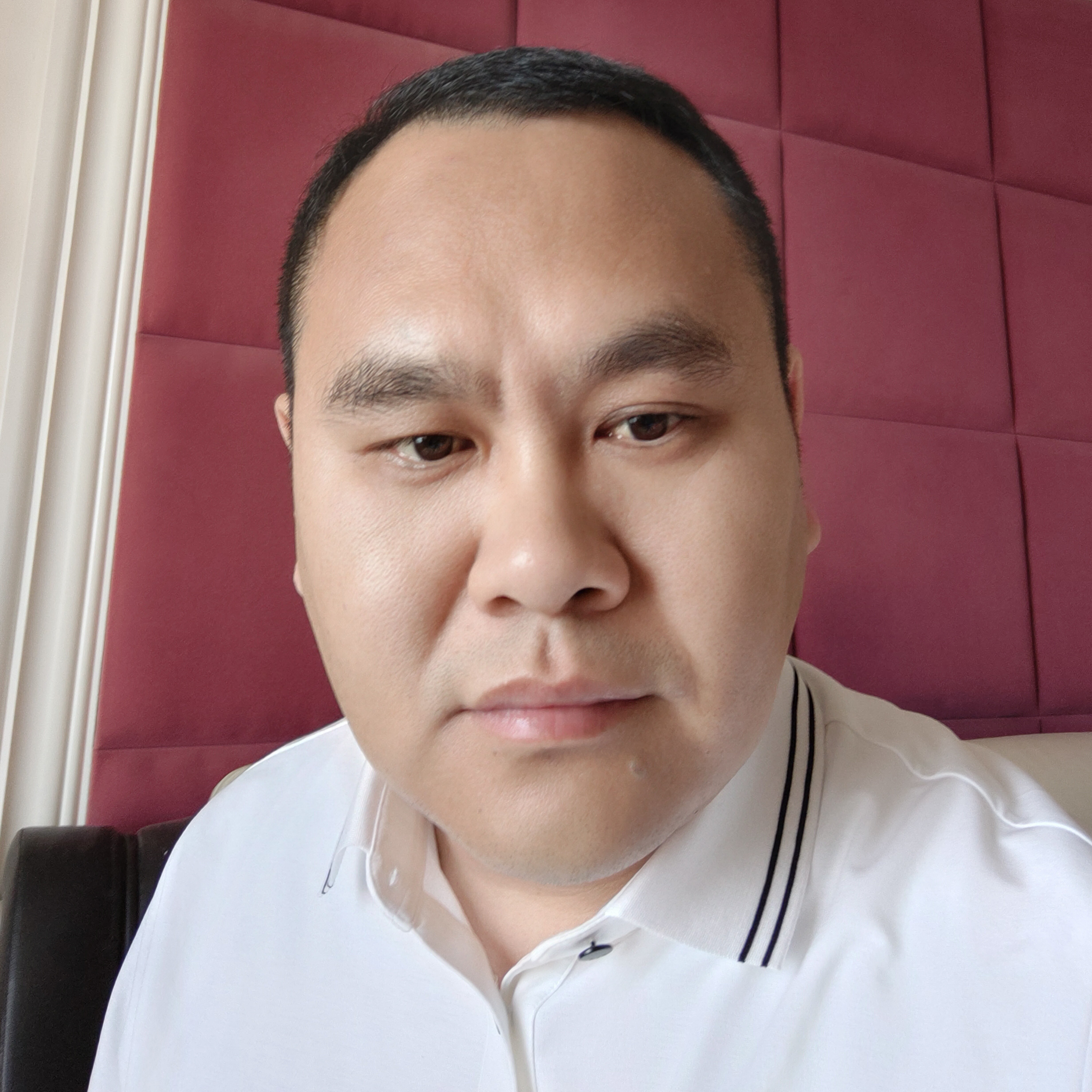 孤心停止零碎的照片