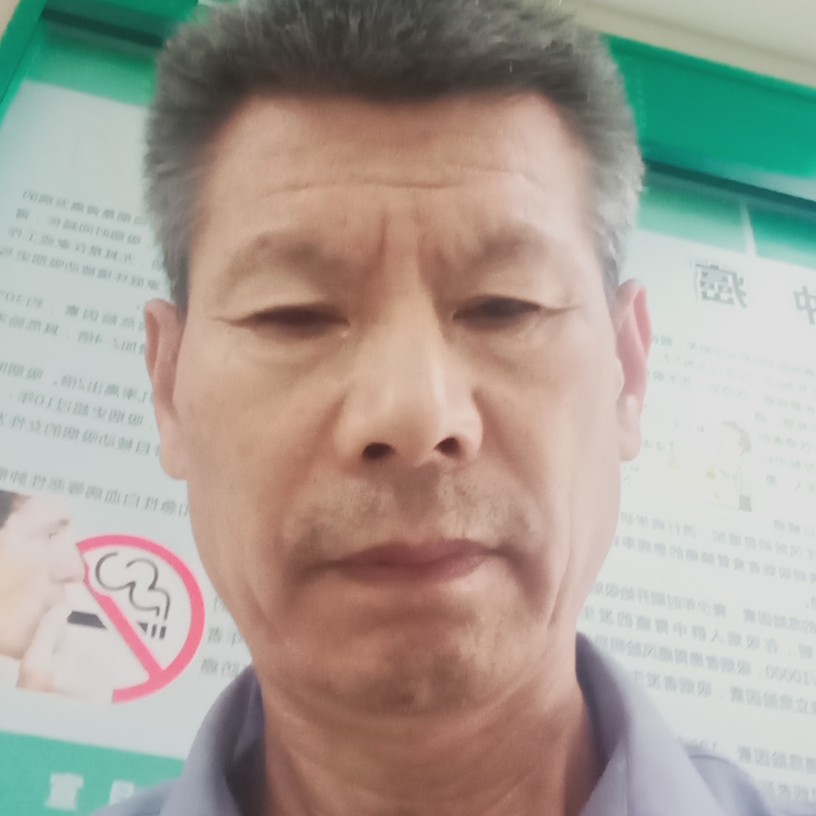 俊逸改变紫菜的照片