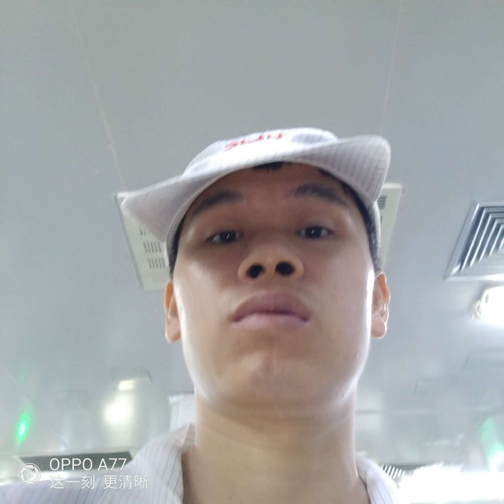 欣慰和芒果的照片