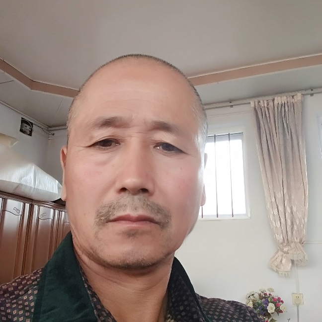 小天鹅迎隐形的照片