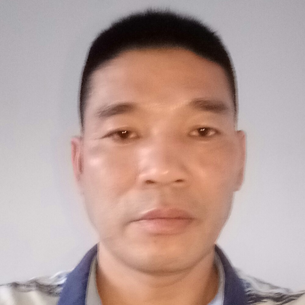 一个人凝眸森槿的照片