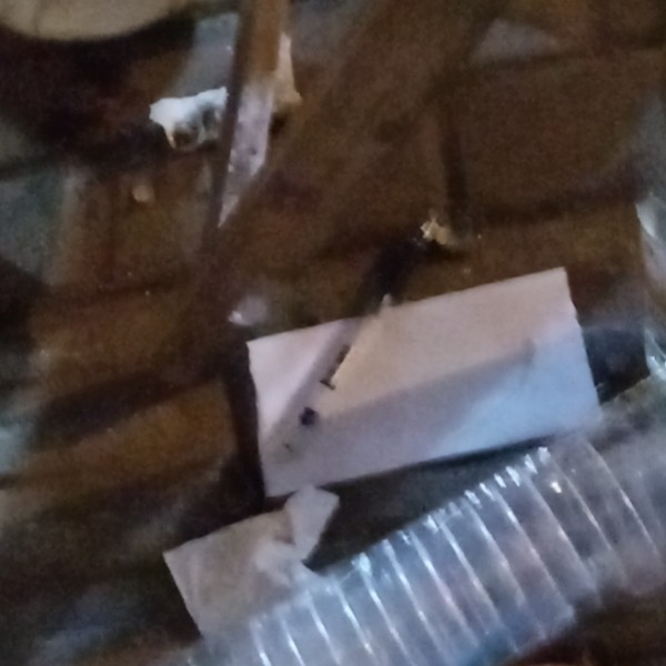 兮彼年快的照片