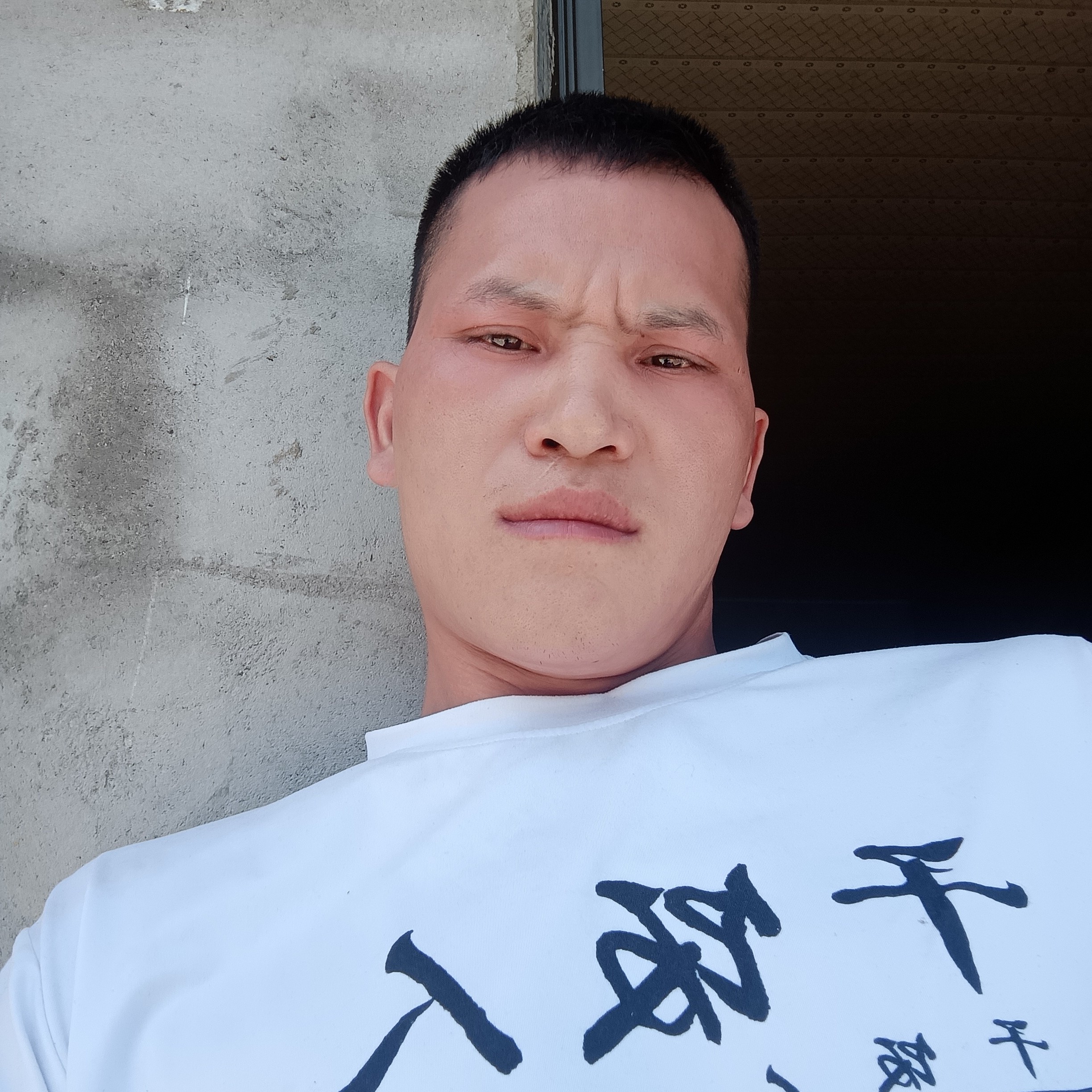 下蛋公鸡的照片