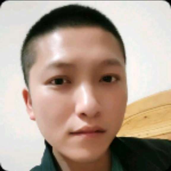 小蜜蜂深拥愤怒的照片